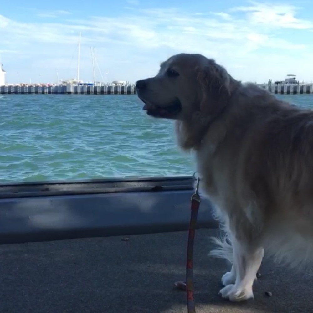 Meet your Posher, Brooke